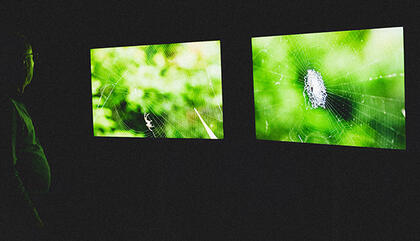 Video Project 