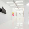 Alexandre Arrechea. 