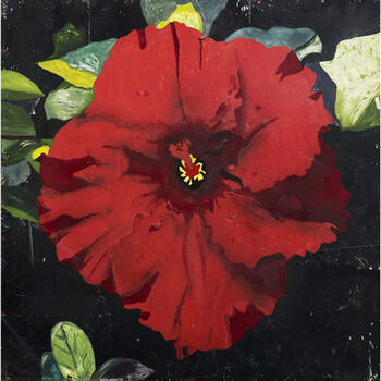 Rosa china roja