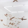 Antonio Paucar, Mamá Rayguana (2023). Instalación parte de la exposición Hacer toser mi alma. Ginsberg Galería