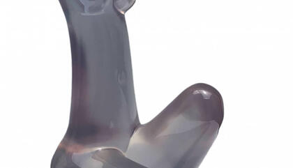 Torso