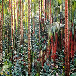 Floresta de Faixas